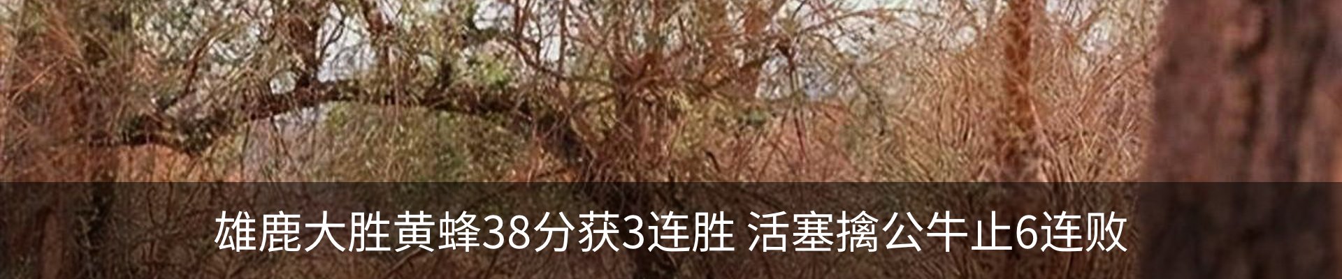 新闻动态